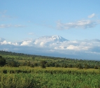 kilimanjaro  paisaje