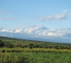 Kilimanjaro Panorama