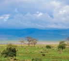 Lake Manyara