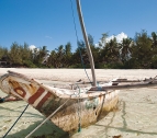 Strand in Sansibar